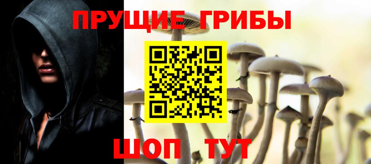 Нефтеюганск  Галлюциногенные грибы прущие грибы  Вход с VPN  Псилоцибиновые грибы Psilocybe 